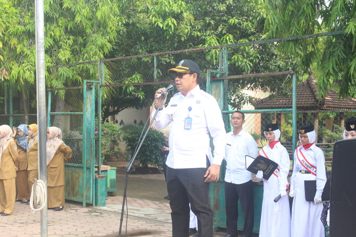 IMG_9981 - IMG_9981 -