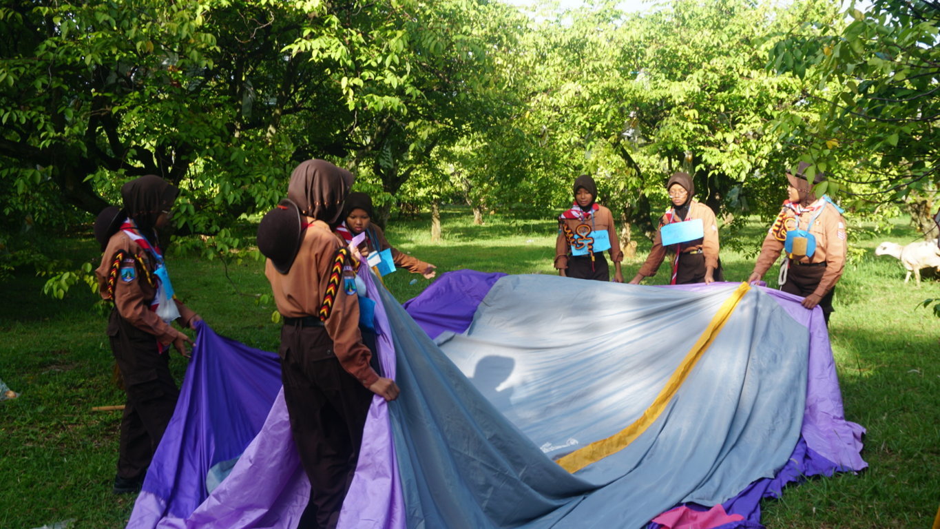 DSC00130 - DSC00130 -