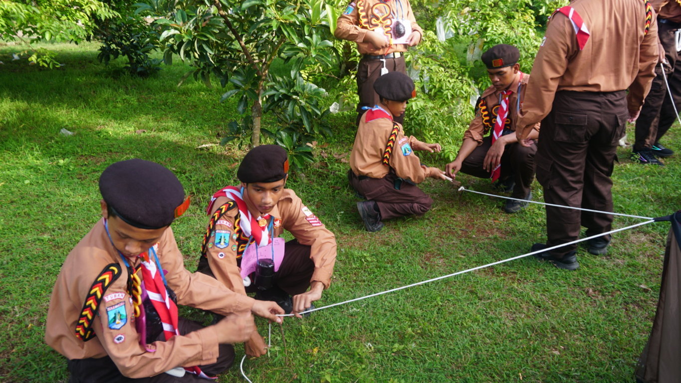 DSC00147 - DSC00147 -