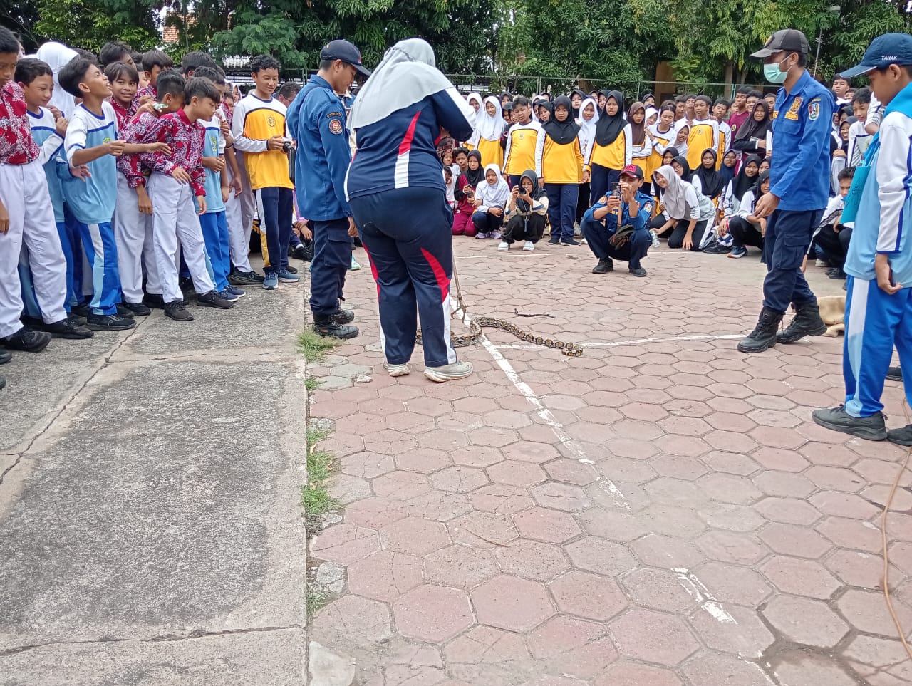 WhatsApp Image 2025-12-02 at 16.24.02 WhatsApp Image 2025-12-02 at 16.24.02