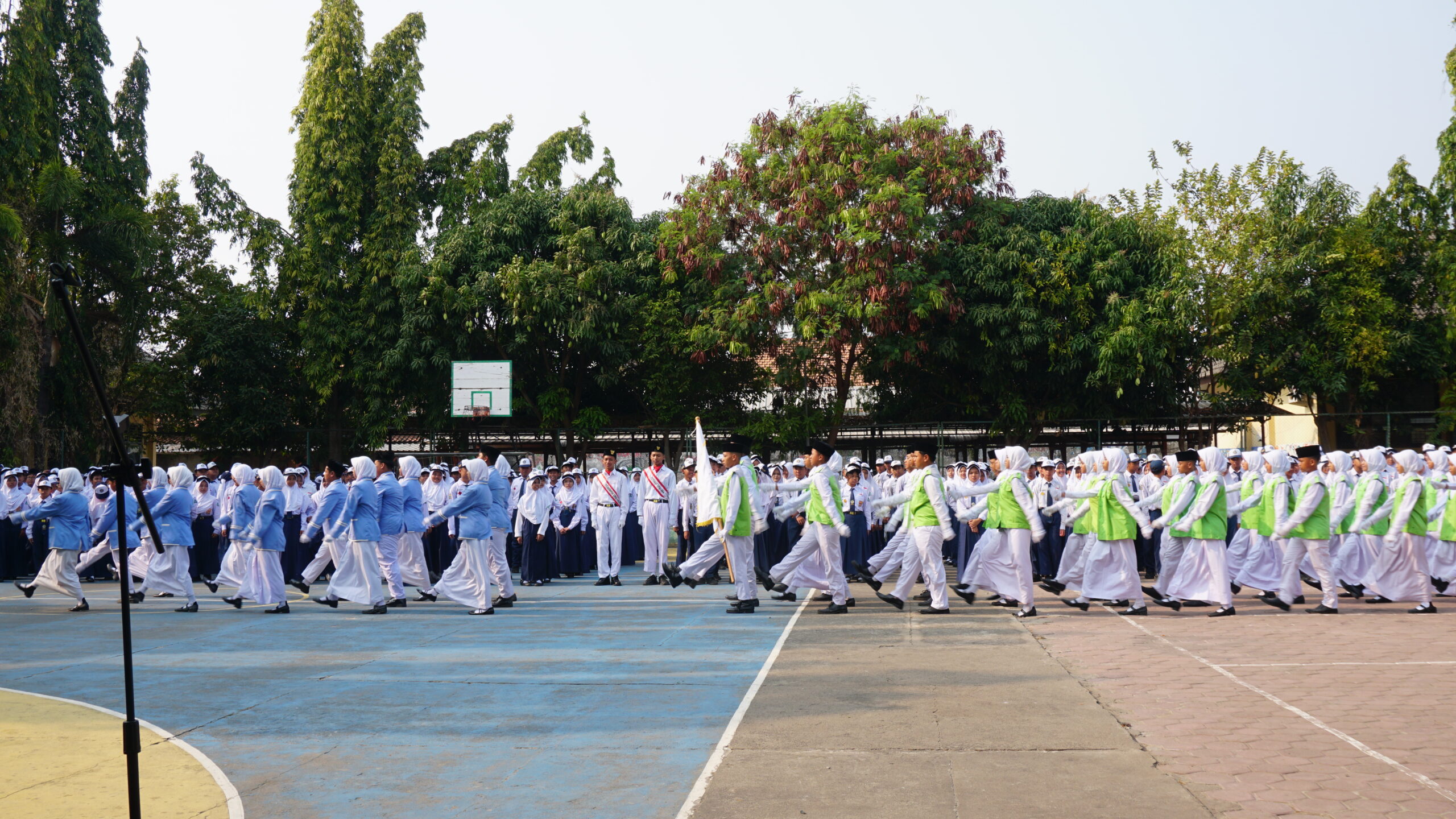 DSC07799 DSC07799